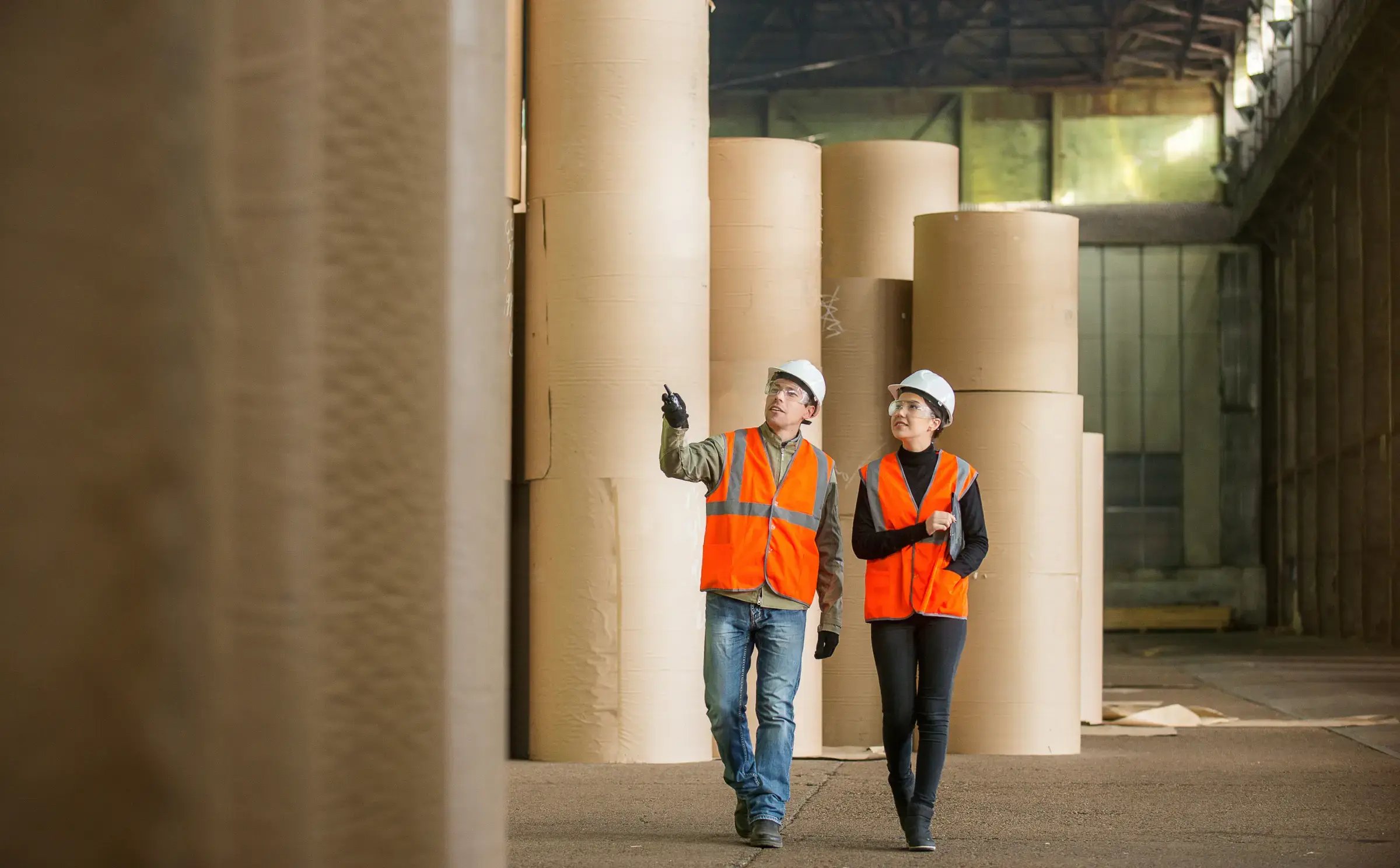 Trillora_Choosing a Sustainable Packaging Supplier_Sustainable Practices in Action
