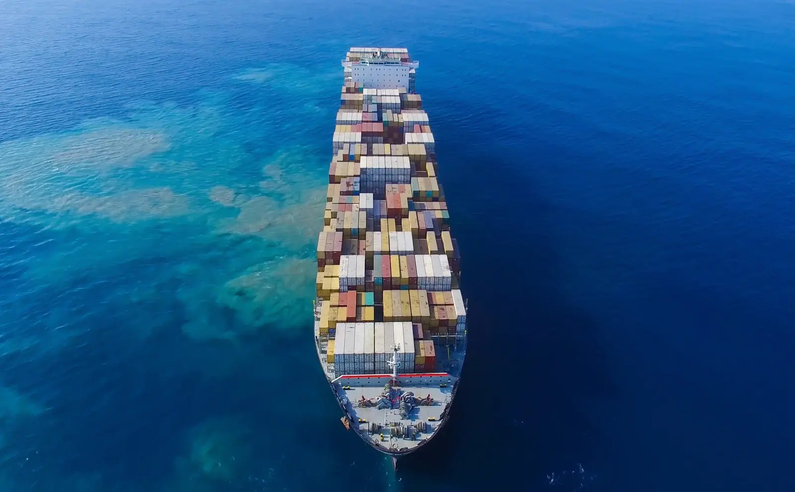 Trillora_How to Reduce the Carbon Footprint of Your Supply Chain